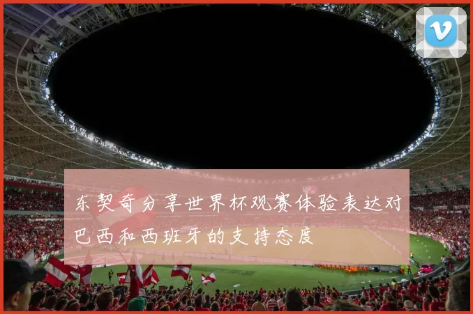 东契奇分享世界杯观赛体验表达对巴西和西班牙的支持态度