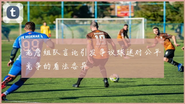 老詹组队言论引发争议球迷对公平竞争的看法各异