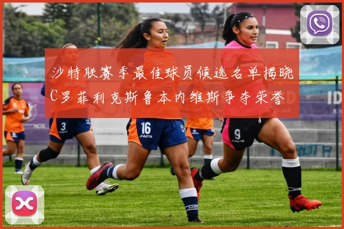 沙特联赛季最佳球员候选名单揭晓C罗菲利克斯鲁本内维斯争夺荣誉