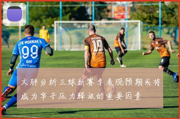 文胖分析三球新赛季表现预期或将成为华子压力释放的重要因素